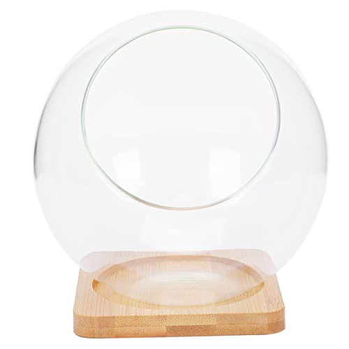 Glas-Terrarium-Vase, Blasenschale, Topf, schräg Geschnittener Globus, Mini-Display, Tischplatte, transparent, for Süßigkeiten-Pflanzen, Heim- und Bürodekoration/18 von ERICAT