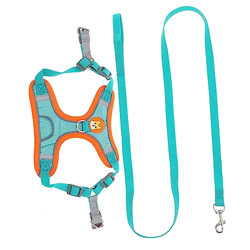 ERINGOGO 1 Satz Transportbox für Haustiere Hunde -Wanderzubehör Ausbildung für Hunde groß hundesicherheitsgeschirre hundesicherheitsgurt Welpengeschirr, Leine Diensthundegeschirr Tuch Blue ERINGOGO 1 Satz Transportbox für Haustiere Hunde -Wanderzubehör Ausbildung für Hunde groß hundesicherheitsgeschirre hundesicherheitsgurt Welpengeschirr, Leine Diensthundegeschirr Tuch Blue von ERINGOGO