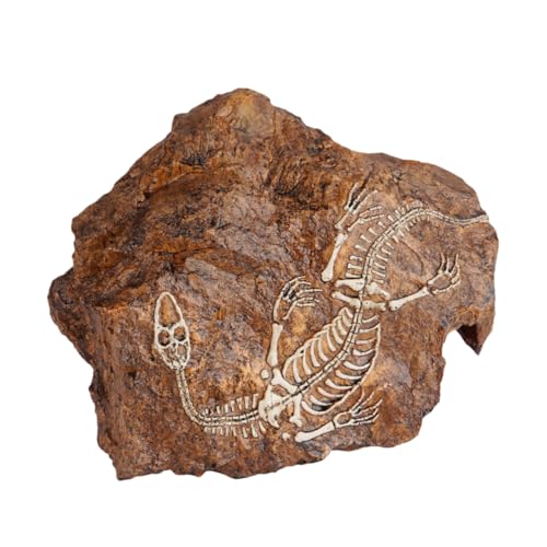 ERINGOGO 1 Stück Versteckhaus Aquarium Dekorationen Aquarium Zubehör Aquarium Landschaft Aquarium Landschaftsgestaltung Dekoration Simulation Stein Aquarium Ornament von ERINGOGO