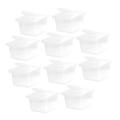 ERINGOGO 10Stücke Kleine Reptilien Fütterungsbox Teilig Transparentes Terrarium Für Zucht Und Beobachtung Langlebig Reinigen Für Eidechsen Schnecken Spinnen von ERINGOGO