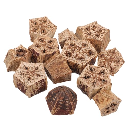 ERINGOGO 12 Stück Teiliges Papageien Kauspielzeug aus Natürlichem Material Futter Suchspielzeug für Wellensittiche Nymphensittiche und Andere Kauen und Fördert die Beschäftigung und Spaß ERINGOGO 12 Stück Teiliges Papageien Kauspielzeug aus Natürlichem Material Futter Suchspielzeug für Wellensittiche Nymphensittiche und Andere Kauen und Fördert die Beschäftigung und Spaß von ERINGOGO