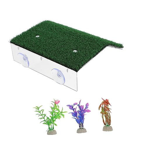 ERINGOGO 1Satz Kletterplattform Für Schildkröten Teiliges Mit Künstlichem Rasen Zu Installieren Mit Saugnäpfen Für Aquarien Und Terrarien von ERINGOGO