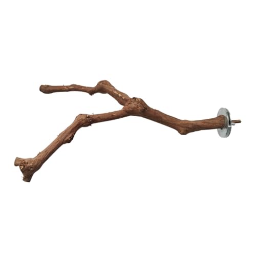 ERINGOGO 1Stück Holzspielzeug Für Vögel Papageien Sitzstange Naturholz Zweig Spielwaren Für Vogelkäfig Für Wellensittiche Und Nymphensittiche Zufälliger Stil ERINGOGO 1Stück Holzspielzeug Für Vögel Papageien Sitzstange Naturholz Zweig Spielwaren Für Vogelkäfig Für Wellensittiche Und Nymphensittiche Zufälliger Stil von ERINGOGO