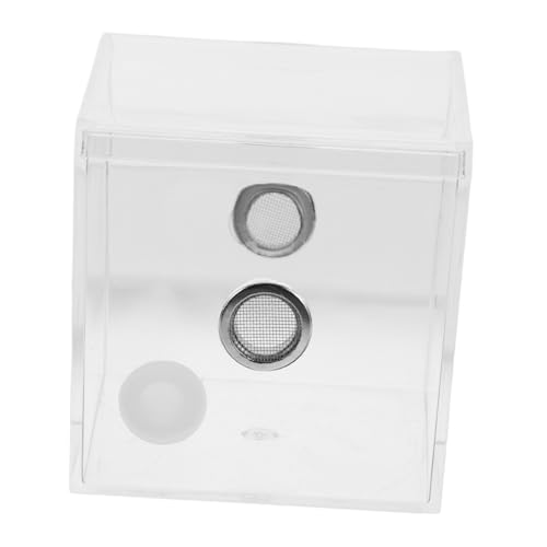 ERINGOGO 1stücke Transparentes Terrarium Für Springende Spinnen Insektenhaltung Box Mit Guter Sichtbarkeit Komfortable Lebensbedingungen Und Vielseitiger Nutzung Für Verschiedene von ERINGOGO