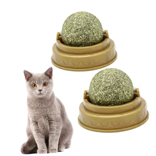 ERINGOGO 2 Stück Katzenminze Ball Essbarer Kauball mit Minzgeschmack Fördert Verdauung Zahnpflege und Spielspaß Sicher und Langlebig Haftet an Glatten Oberflächen für Katzenpflege und von ERINGOGO