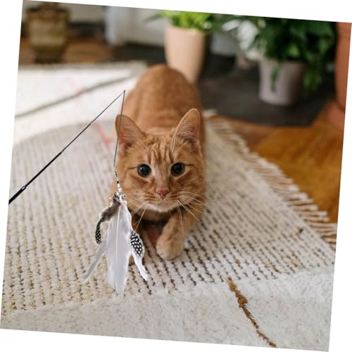 ERINGOGO 2 Stück Teiliges Katzenspielzeug Angel mit Quaste aus Langlebigem Carbonfaser stab Interaktives Indoor Aktivierung des Jagdinstinkts für Wohnungskatzen von ERINGOGO
