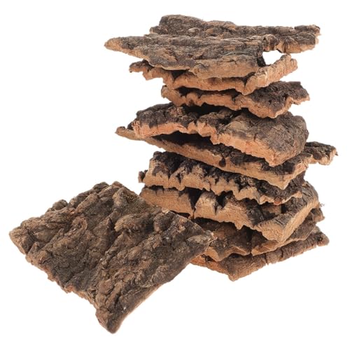 ERINGOGO 20 Stück Dekoration aus Champagnerrinde Reptilien groß Gecko Bettwäsche bellen für Buche Reptil Baumrinde Terrariumdekorationen dekorative Terrarienrinde Holz von ERINGOGO