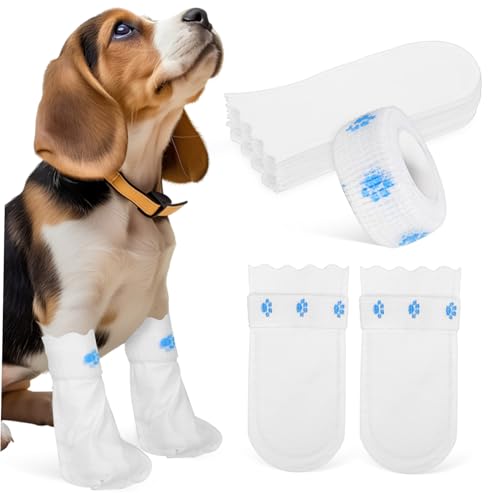 ERINGOGO 20 Stück Kofferraumschutz für Hunde Hundeschuhe & Pfotenschützer Welpenschuhe für kleine Hunde Booties für Hundepfoten Tierschuhe kleine hundeschuhe Hundestiefel Vlies Weiß ERINGOGO 20 Stück Kofferraumschutz für Hunde Hundeschuhe & Pfotenschützer Welpenschuhe für kleine Hunde Booties für Hundepfoten Tierschuhe kleine hundeschuhe Hundestiefel Vlies Weiß von ERINGOGO