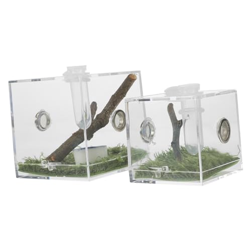 ERINGOGO 2Stücke Transparente Spinnen Habitatbox Aus Brutbehälter Für Insekten Und Reptilien Für Jumping Spiders Skorpione Grillen Und Schnecken von ERINGOGO