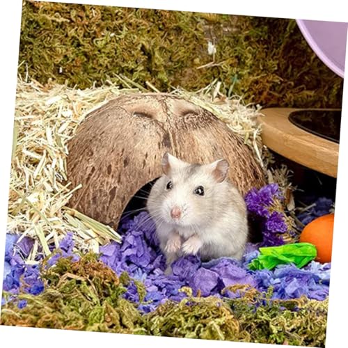 ERINGOGO 3 Stück Teiliges Hamsterversteck aus Natürlicher Kokosnussschale Robustes Kleintierversteck Dekoratives Nagerhaus für Ratten und Hamster Gemütliches Rückzugsort für Kleine ERINGOGO 3 Stück Teiliges Hamsterversteck aus Natürlicher Kokosnussschale Robustes Kleintierversteck Dekoratives Nagerhaus für Ratten und Hamster Gemütliches Rückzugsort für Kleine von ERINGOGO