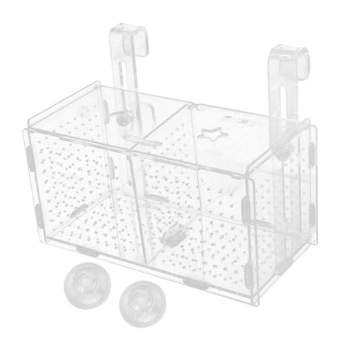 ERINGOGO 1satz Isolierbox Für Aquarien Zuchtbox Mit Saugnäpfen Und Haken Isolation Von Fischen Transparent Langlebig Und Einfach Zu Reinigen Für Zucht Und Pflege von ERINGOGO