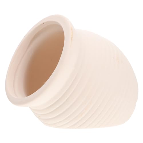 ERINGOGO Aquariumversteck aus Weißes Hideout Höhle für Garnelen und Fische Langlebige Schadstofffreie Dekoration für Süßwasser fischbecken Leicht zu Reinigen und Sicheres Aquarienzubehör ERINGOGO Aquariumversteck aus Weißes Hideout Höhle für Garnelen und Fische Langlebige Schadstofffreie Dekoration für Süßwasser fischbecken Leicht zu Reinigen und Sicheres Aquarienzubehör von ERINGOGO