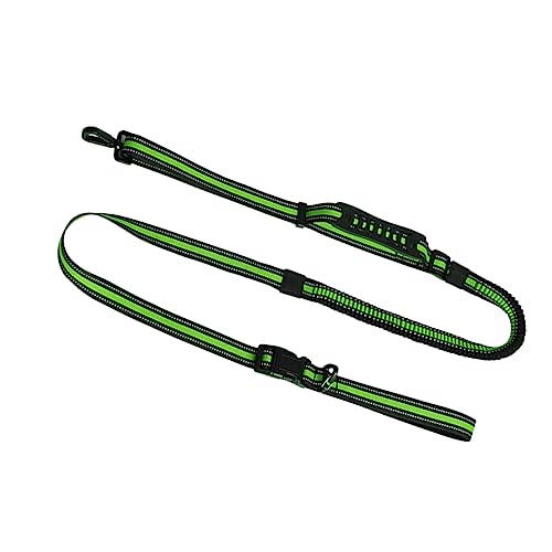 ERINGOGO Fluoreszierende Grüne Hundeleine Gepolsterte Hunde Hundegürtelleine Grüne Hundeleine Kleine Welpenleine Reflektierende Hundeleinen Hundeleinengürtel Hunde Laufgürtel ERINGOGO Fluoreszierende Grüne Hundeleine Gepolsterte Hunde Hundegürtelleine Grüne Hundeleine Kleine Welpenleine Reflektierende Hundeleinen Hundeleinengürtel Hunde Laufgürtel von ERINGOGO