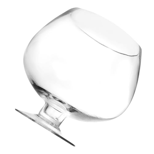 ERINGOGO Goldfischglas Aus Glas Panzer Aquarium Aquarienschale Fischtankdekor Betta Fischtank Dekoratives Betta-Becken Goldfischtank Tischbecken Für Goldfische Fischtanks Transparent von ERINGOGO