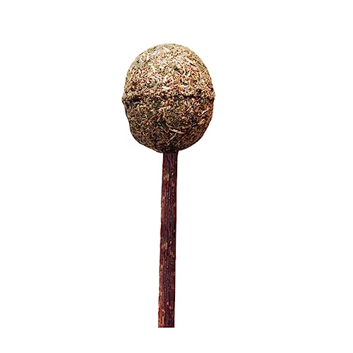 ERINGOGO Katzenminze Ball Mit Holzstock Interaktives Katzenspielzeug Für Kätzchen Zahnreinigung Und Spielspaß Katzenminze Für Gesunde Zähne Natürliche Katzenminze von ERINGOGO