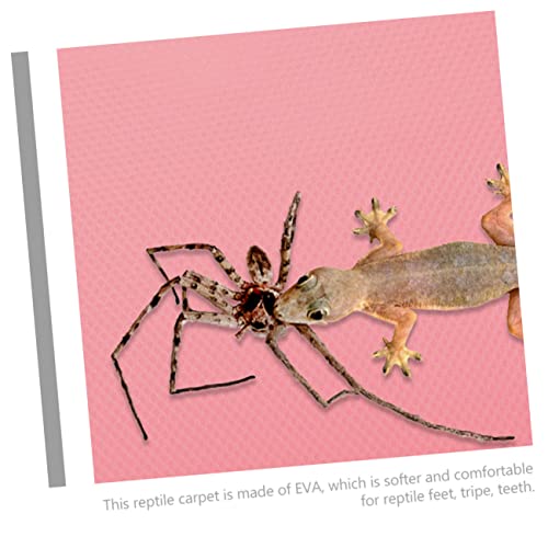 ERINGOGO Krabbeldecke Eidechsen Gecko Zubehör Bettwäsche Bartagamen Teppich Gehege Matte Tank Reptiliensubstrat Lebensraum Wärme Reptilien Reptilien Liner Pink Eva ERINGOGO Krabbeldecke Eidechsen Gecko Zubehör Bettwäsche Bartagamen Teppich Gehege Matte Tank Reptiliensubstrat Lebensraum Wärme Reptilien Reptilien Liner Pink Eva von ERINGOGO
