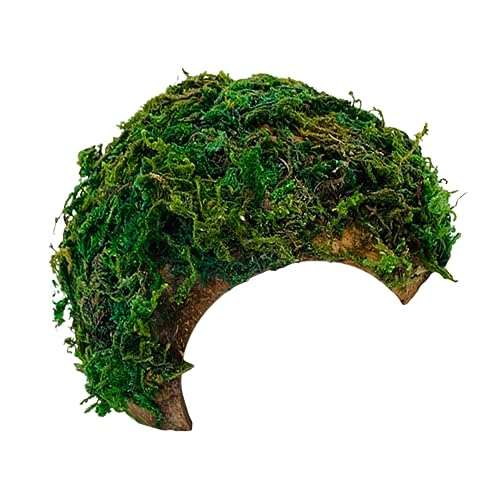 ERINGOGO Krabbelplattform für Haustiere Echsenversteckhöhle und Schildkröten Sonnenbadeplatz aus Hochwertigem Material für Terrarien und Aquarien für Wasser Schildkröten Frösche von ERINGOGO