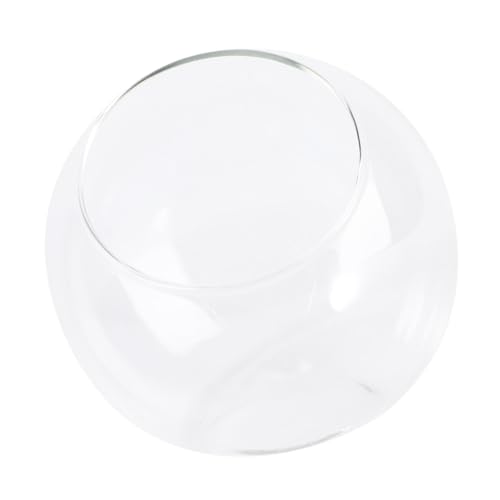 ERINGOGO Landscape Glasflasche Øcm Terrarium DIY Behälter aus Glas Langlebige Einfache Ökologische Flaschenkugel für Tischdekoration Geeignet für Pflanzen Blumen Bonsai ERINGOGO Landscape Glasflasche Øcm Terrarium DIY Behälter aus Glas Langlebige Einfache Ökologische Flaschenkugel für Tischdekoration Geeignet für Pflanzen Blumen Bonsai von ERINGOGO