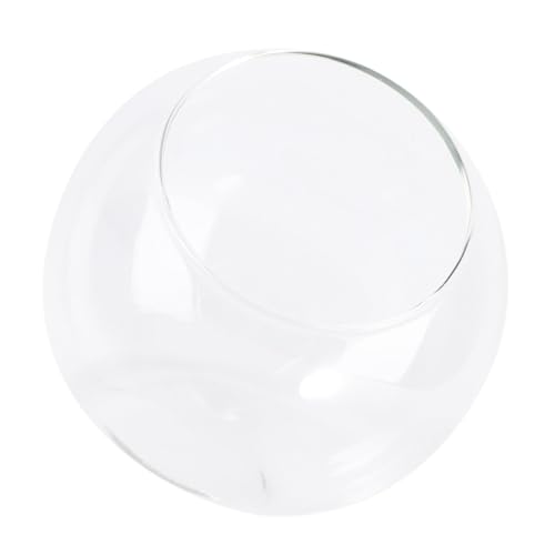 ERINGOGO Mini Glasflasche für Mikrolandschaften Dekoratives Pflanzgefäß aus Klarem Glas DIY Terrarium Flasche für Wohn Bürodekoration Handgefertigtes Ökologisches Flaschendekor ERINGOGO Mini Glasflasche für Mikrolandschaften Dekoratives Pflanzgefäß aus Klarem Glas DIY Terrarium Flasche für Wohn Bürodekoration Handgefertigtes Ökologisches Flaschendekor von ERINGOGO