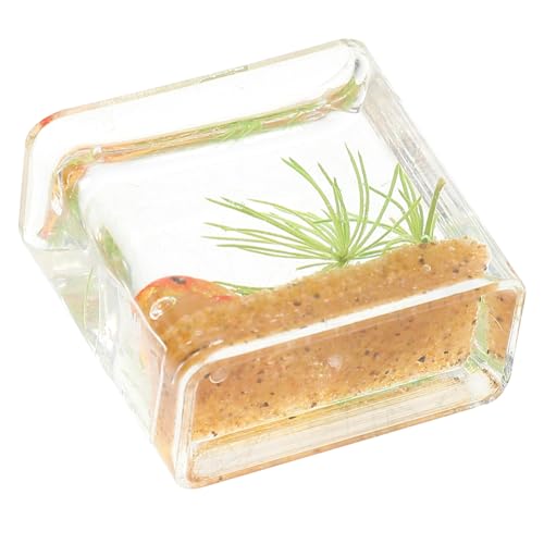 ERINGOGO Miniatur-Aquarium Dekoration Resin Fisch Tank Modell Tiny Fish Tank Zubehör Für Mini Häuser Für Tischdeko Und Landschaftsgestaltung ERINGOGO Miniatur-Aquarium Dekoration Resin Fisch Tank Modell Tiny Fish Tank Zubehör Für Mini Häuser Für Tischdeko Und Landschaftsgestaltung von ERINGOGO