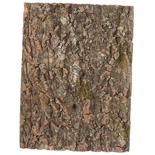 ERINGOGO Natürliche Korkrinde Terrarium Dekoration Reptilien Kletterplattform Robustes Hintergrund Element für Eidechsen Schildkröten und Kleine Haustiere Sicheres Klettern und Artgerechte ERINGOGO Natürliche Korkrinde Terrarium Dekoration Reptilien Kletterplattform Robustes Hintergrund Element für Eidechsen Schildkröten und Kleine Haustiere Sicheres Klettern und Artgerechte von ERINGOGO