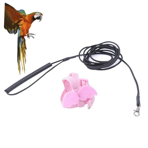 ERINGOGO Parrot Harness mit Verstellbarem Elastischem Seil Langlebiges Brustgeschirr für Vögel und Papageien Modische Engelsflügel Geeignet für Freies Fliegen im Freien Leicht und von ERINGOGO