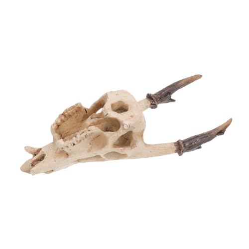 ERINGOGO Reptilien Versteck Schädel aus Resin Natürliches Terrarium Versteck für Schildkröten Schlangen und Frösche Vielseitige Höhle für Reptilien Sicher und Naturgetreu für Aquarium und ERINGOGO Reptilien Versteck Schädel aus Resin Natürliches Terrarium Versteck für Schildkröten Schlangen und Frösche Vielseitige Höhle für Reptilien Sicher und Naturgetreu für Aquarium und von ERINGOGO