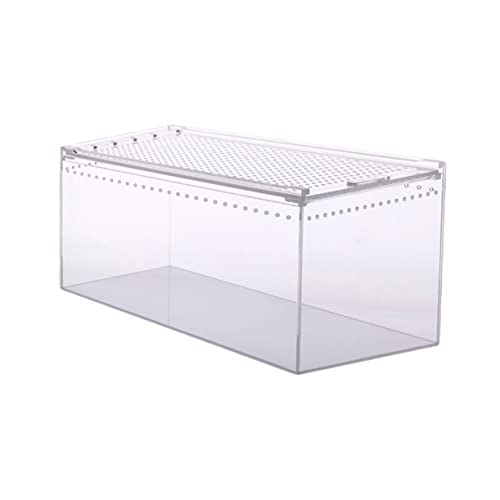 ERINGOGO Reptilienzuchtbox Transparente Terrarium Box Für Spinnen Schlangen Skorpione Und Frösche Und Pflegeleicht Mit Sicherem Deckel Für Optimale ERINGOGO Reptilienzuchtbox Transparente Terrarium Box Für Spinnen Schlangen Skorpione Und Frösche Und Pflegeleicht Mit Sicherem Deckel Für Optimale von ERINGOGO