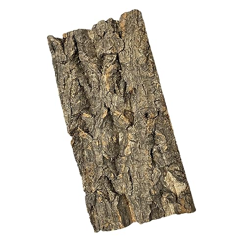 ERINGOGO Rinde-Hintergrundtafel Klettern Reptilienterrarium Terrarien Tank Korkrinde für Reptilien für Reptilienbecken Reptil Kork Aquarium bellt Korkplatte ERINGOGO Rinde-Hintergrundtafel Klettern Reptilienterrarium Terrarien Tank Korkrinde für Reptilien für Reptilienbecken Reptil Kork Aquarium bellt Korkplatte von ERINGOGO