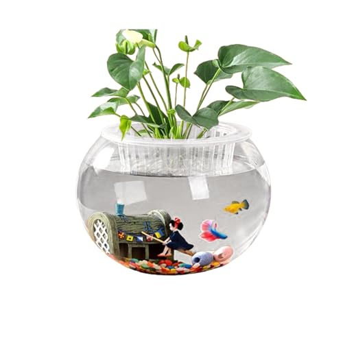 ERINGOGO Runde Glas-Fischschale, transparente Aquariumschale für Betta, Goldfisch, Blumenvase, Tafelaufsatz von ERINGOGO