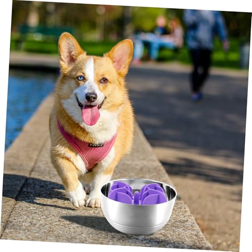 ERINGOGO Silikon Slow Feeder Einsatz für Hunde Katzennapf rutschfest mit Saugnapf Weicher Anti schling napf für Kleine Rassen Fördert Langsames Fressen und Gesunde Verdauung von ERINGOGO