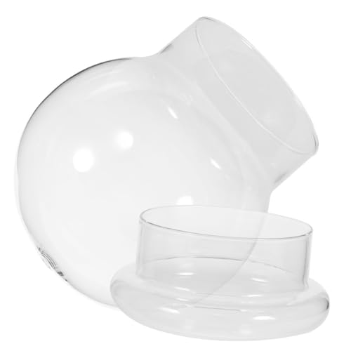 ERINGOGO Transparentes Glasterrarium Mit Kuppel Ökologische Flasche Für Pflanzen Glaspflanzenbehälter Für Mikrolandschaft Für Wohnzimmer Und Büro ERINGOGO Transparentes Glasterrarium Mit Kuppel Ökologische Flasche Für Pflanzen Glaspflanzenbehälter Für Mikrolandschaft Für Wohnzimmer Und Büro von ERINGOGO