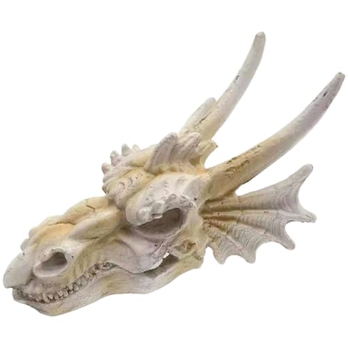 ERINGOGO dekorative Drachenschädelverzierung Ornament Dinosaurier-Schädelkopf Drachenfischbecken Skelett wohnzimmerdeko wohnungseinrichtung Aquarium Landschaftsdekor Terrarium Harz von ERINGOGO