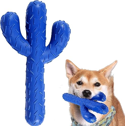 ERKIES Hundekauspielzeug, Hunde-Kauspielzeug für Aggressive Kauer, interaktives Kaktus Gummispielzeug Hundepuzzle-Spiel, für Training und Reinigung der Zähne (Blau) von ERKIES