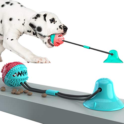 ERKIES Hundespielzeug mit Saugnapf, Hundezahnbürste Kauspielzeug, Ball Leckerli-Spender für Hunde Welpen,Spielzeug für Hund Ziehen, Kauen, Spielen von ERKIES