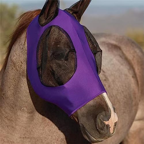 ERKIES fliegenmaske Pferd uv Schutz, Netz-Pferdekopf-Abdeckung, Reitsport Produkte, Abriebfeste, elastische, Atmungsaktiv, Sommer, warmblut (Lila) von ERKIES