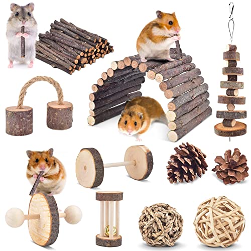 ERKOON 11 Stück Chinchillas Kauspielzeug, Spielzeugzubehör für die Zahnpflege, natürliches Apfelholz, Leiter, Glockenroller für russische Hamster, Rennmäuse, Ratten, Meerschweinchen von ERKOON