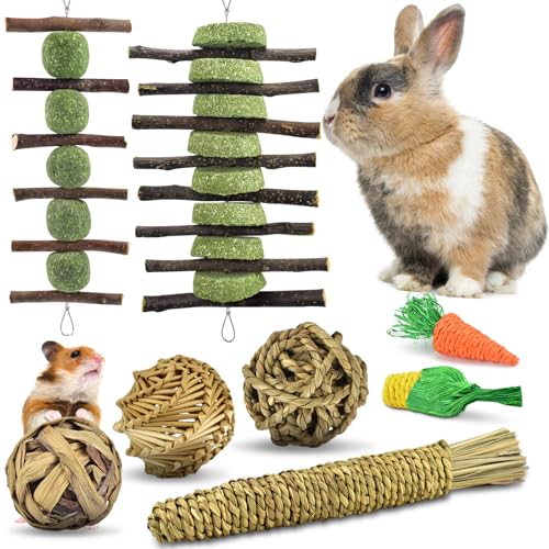 ERKOON Kaninchen Spielzeug, Kleintiere Kauspielzeug Hasen Natürliche Timothy-Gras kaubälle Knabber Holzkette Grasspielzeug Zahnpflege für Häschen Chinchilla Hamster Meerschweinchen Rennmäuse von ERKOON