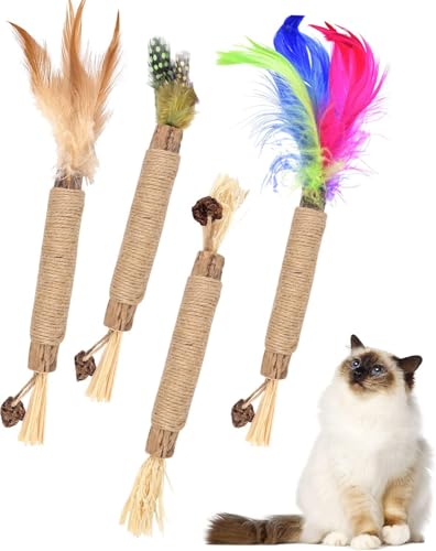ERKOON 4pcs Katzenminze Sticks, Silvervine Stick Matatabi Stick Katze Kausticks für Katzen Dental Kau-Sticks helfen bei Zahnstein & Mundgeruch Gesund Hygiene Zahnpflege von ERKOON