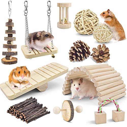 ERKOON Hamster Kauspielzeug, 12 Stück Naturholz Kaninchenspielzeug Übung Glockenrolle Zahnpflege Backenzahnspielzeug für Chinchilla Hasen Meerschweinchen von ERKOON