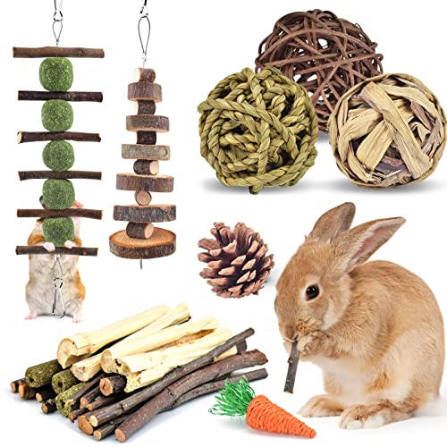 ERKOON Kaninchen Zubehoer, Kaninchen Kauspielzeug, Hasen Beschäftigung Kleintiere Natürliche Timothy Heu Sticks Apfelstäbchen Zahnpflege Leckerlis Chinchilla Meerschweinchen Rennmäuse (Mittelgroße) ERKOON Kaninchen Zubehoer, Kaninchen Kauspielzeug, Hasen Beschäftigung Kleintiere Natürliche Timothy Heu Sticks Apfelstäbchen Zahnpflege Leckerlis Chinchilla Meerschweinchen Rennmäuse (Mittelgroße) von ERKOON