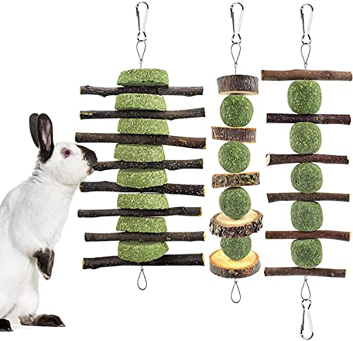 ERKOON Kaninchen Hamster Kauspielzeug, Hasen Beschäftigung Kleintiere Natürliche Timothy Heu Graskuchen Apfelstäbchen Zahnpflege Leckerlis Chinchilla Meerschweinchen Rennmäuse Kauen Molar Zubehoer ERKOON Kaninchen Hamster Kauspielzeug, Hasen Beschäftigung Kleintiere Natürliche Timothy Heu Graskuchen Apfelstäbchen Zahnpflege Leckerlis Chinchilla Meerschweinchen Rennmäuse Kauen Molar Zubehoer von ERKOON