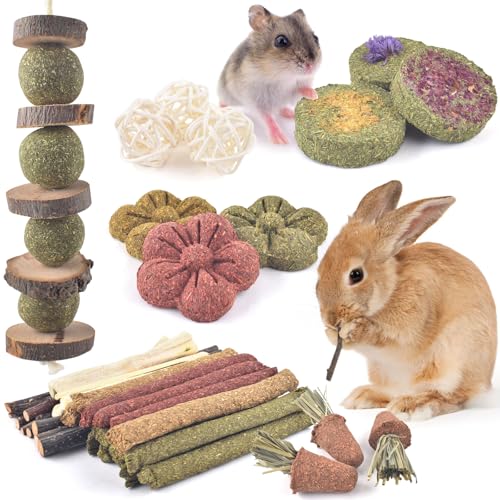 ERKOON Kaninchen Spielzeug, 42Stück Timothy Heu Sticks Karotten Rosengraskuchen Zahnpflege Molar, Chinchillas Spielzeug Kauspielzeug für Kaninchen, Meerschweinchen, Hamster, Chinchilla (Mehrfarbig) von ERKOON