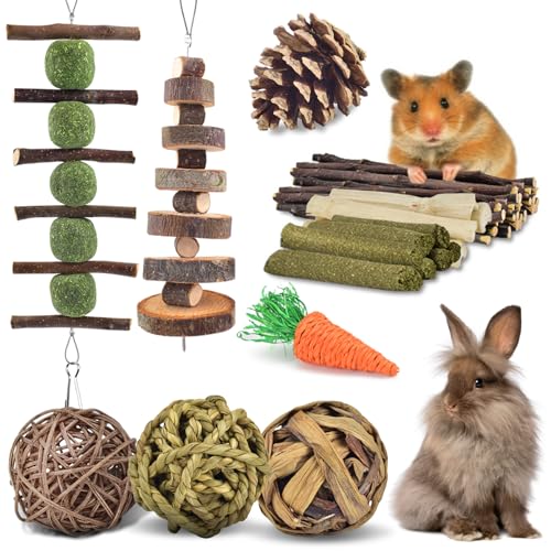 ERKOON Kauspielzeug für Kaninchen, Meerschweinchen, Hamster, Chinchilla, Eichhörnchen, Rennmaus, Ratte - 10 Arten, Bio-Apfelstäbchen, Bio-Timothy-Heu, Zahnhygiene, Langeweile-Buster, Indoor ERKOON Kauspielzeug für Kaninchen, Meerschweinchen, Hamster, Chinchilla, Eichhörnchen, Rennmaus, Ratte - 10 Arten, Bio-Apfelstäbchen, Bio-Timothy-Heu, Zahnhygiene, Langeweile-Buster, Indoor von ERKOON