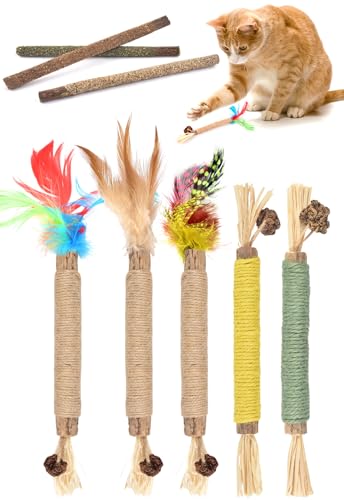 ERKOON 8 Stück Katzenstick, Katzenminze Spielzeug, Chew Toy for Cats, Cats Dental Care Spielzeug, Dental Chew Stick Help with Tartar & Bad Breath Healthy Hygiene Dental Care von ERKOON