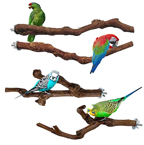 Natürliche Papageien-Sitzstange, wilde Traubenstab, Vogel-Stange, Kralle, Schleifgabel, Papageien, Klettern, stehender Ast, Spielzeug, kaubar, Käfigzubehör, kleine Wellensittiche, Liebesvögel, 4 Stück Natürliche Papageien-Sitzstange, wilde Traubenstab, Vogel-Stange, Kralle, Schleifgabel, Papageien, Klettern, stehender Ast, Spielzeug, kaubar, Käfigzubehör, kleine Wellensittiche, Liebesvögel, 4 Stück von ERPANG