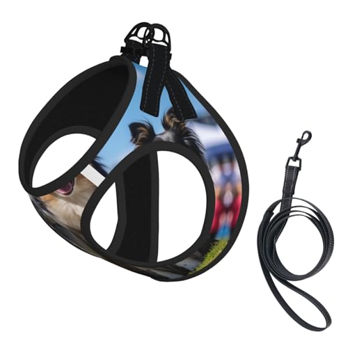 Hundegeschirr mit Hundeausstellung, verstellbar, für Spaziergänge, Welpen, Leinenclips, Haustiergeschirr, Trainingsweste Hundegeschirr mit Hundeausstellung, verstellbar, für Spaziergänge, Welpen, Leinenclips, Haustiergeschirr, Trainingsweste von ERSDWRE