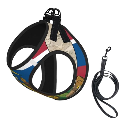 Hundegeschirr mit abstrakter Flagge von Idaho 02, verstellbar, für Spaziergänge, Welpen, Leinenclips, Haustiergeschirr, Trainingsweste von ERSDWRE