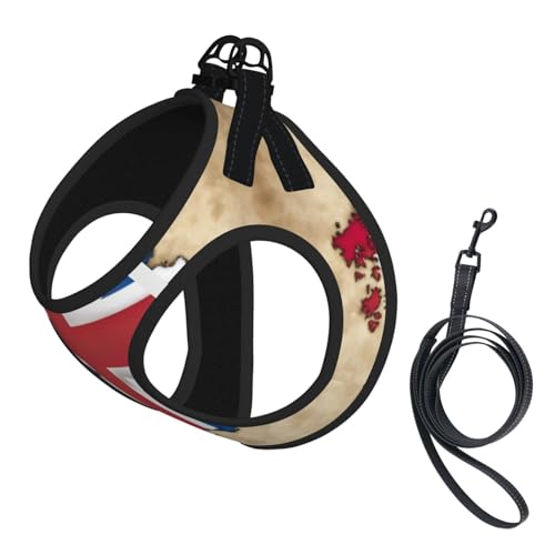 Hundegeschirr mit abstrakter georgischer Flagge, verstellbar, für Spaziergänge, Welpen, Leinenclips, Haustiergeschirr, Trainingsweste von ERSDWRE