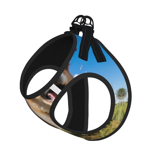 Hundegeschirr mit lustigem Hundeaufdruck, verstellbar, für Spaziergänge, Welpen, Leinenclips, Haustiergeschirr, Trainingsweste Hundegeschirr mit lustigem Hundeaufdruck, verstellbar, für Spaziergänge, Welpen, Leinenclips, Haustiergeschirr, Trainingsweste von ERSDWRE